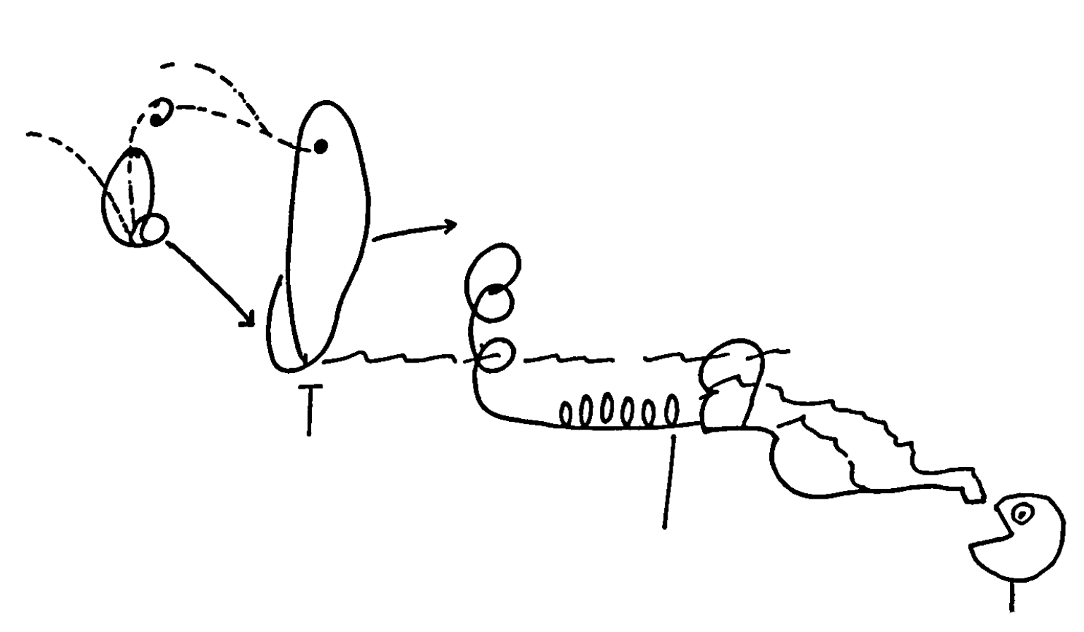 A fully autonomous Rube Goldberg agential water delivery system