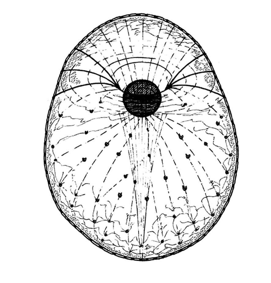 DX01: SINGULARITY – Phase 1: A Shared Agential World Simulation